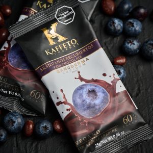 10 Snack de Arándanos con Reishi Chocolate Premium Sin Azúcar